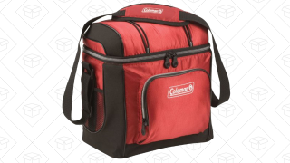 This Cooler Holds 16 Cans For $10
